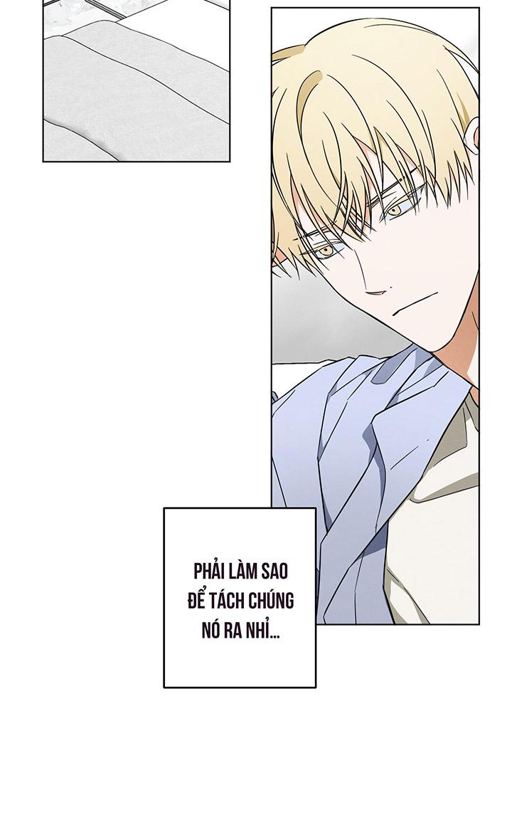 CHIẾN LƯỢC ĐOẠT TÂM CỦA CUỘC TÌNH ĐƠN PHƯƠNG Chapter 9 - Trang 2