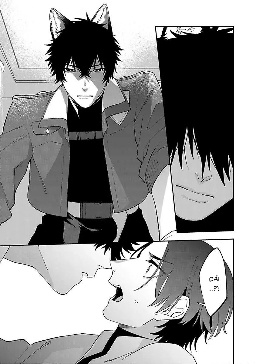 Hai Chú Chó Rắc Rối Chapter 4 - Trang 2