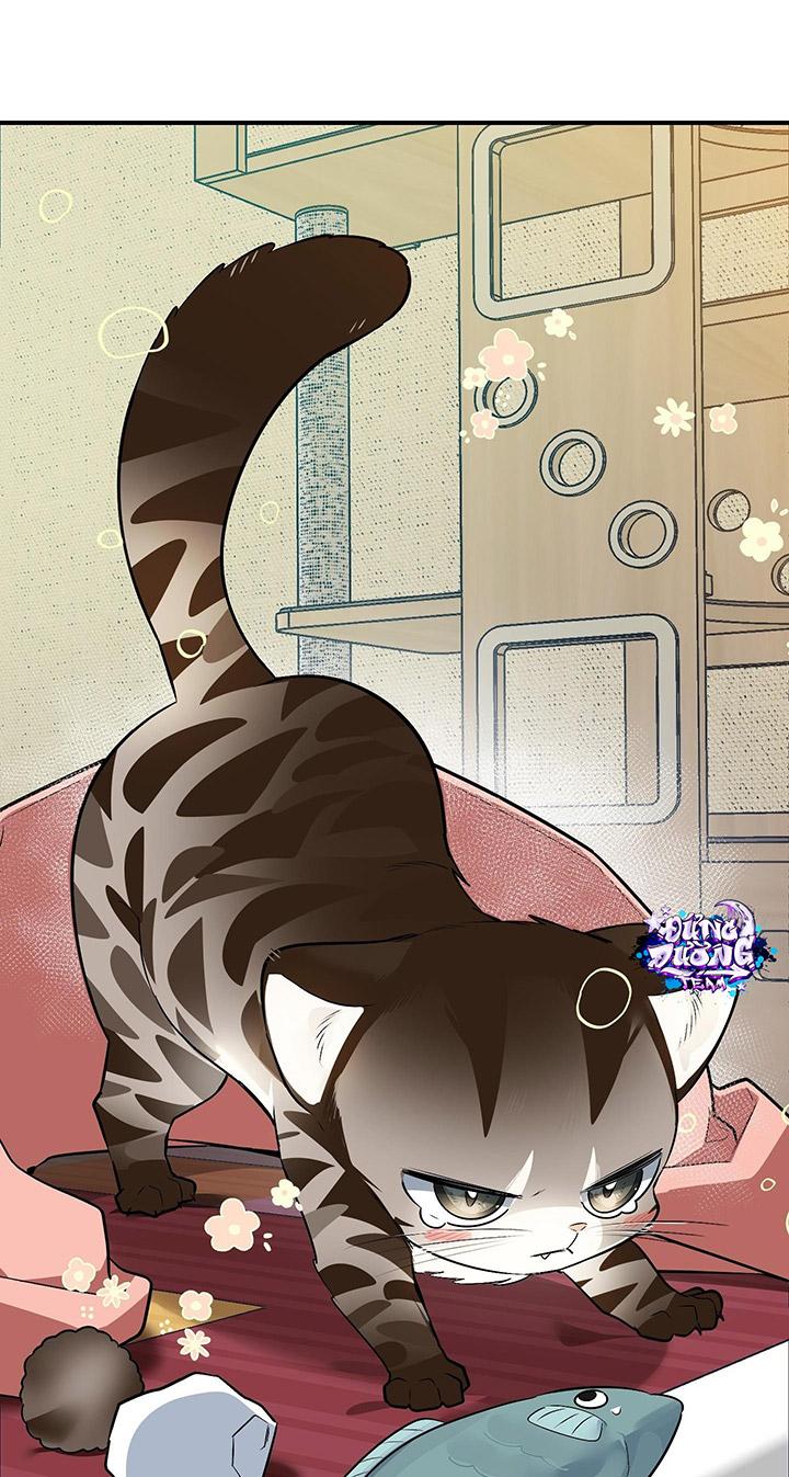 [DDT] HÃY SINH NHẤT MIÊU HÀI WILDCAT, NHƯ BẤT DỤC KIẾN NGÃ PHÁT CUỒNG! Chapter 1 19+ - Trang 2