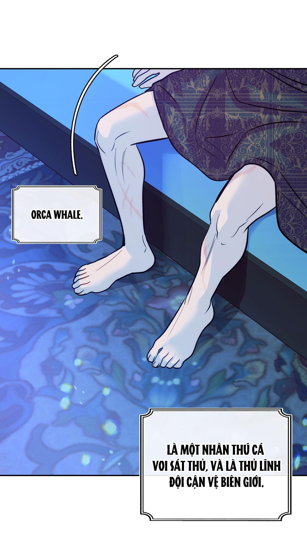 ORCA MANSION Chapter 1 - Trang 2