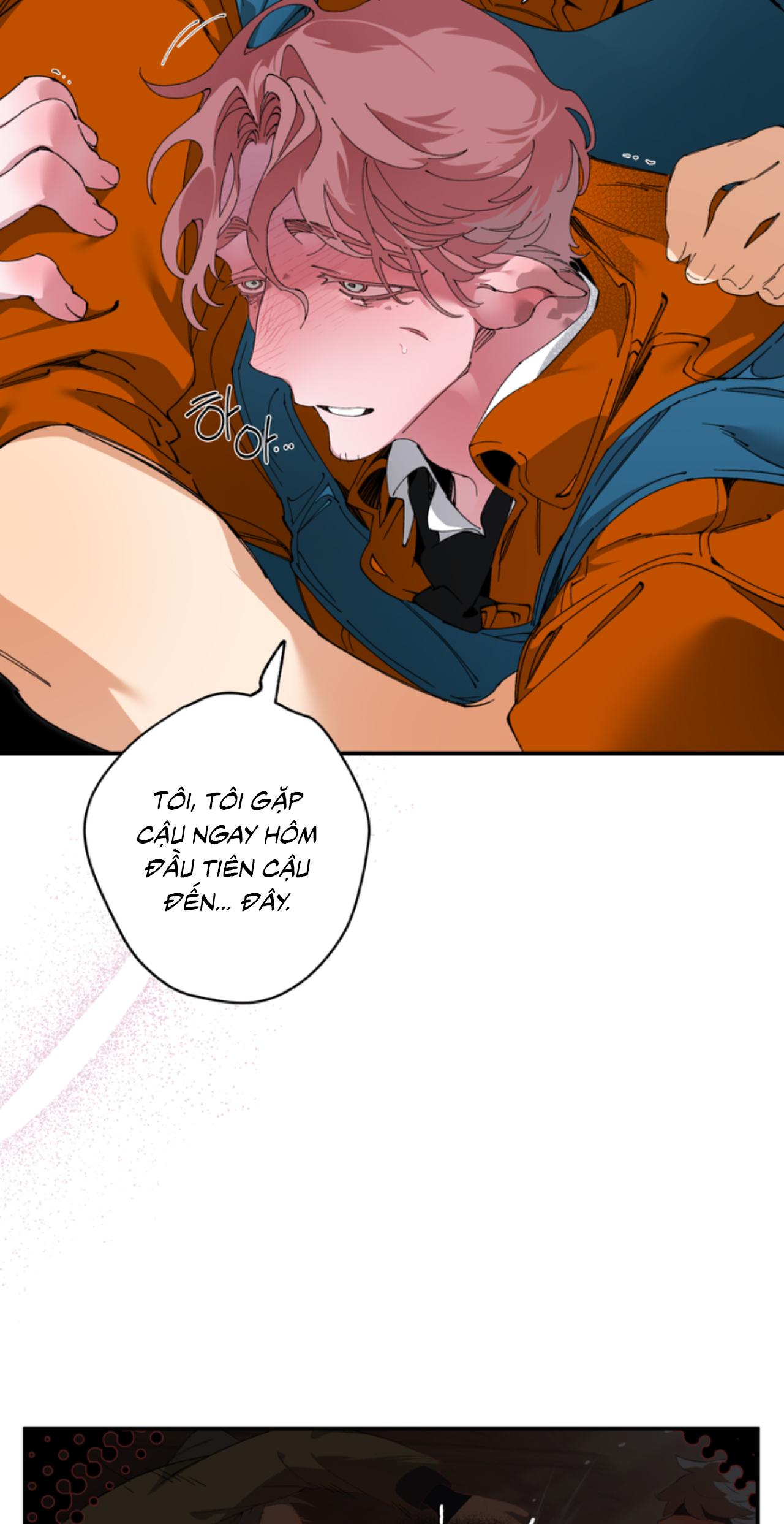 Mr.A's Farm Chapter 15 - Trang 2