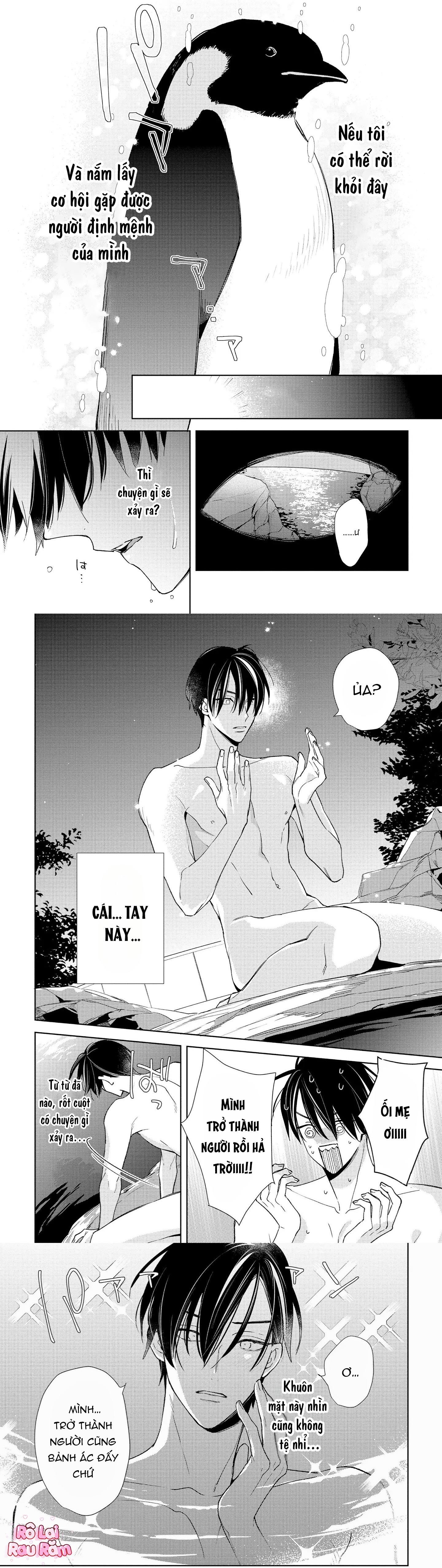Ái tình từ vì sao sa Chapter 1 - Trang 2