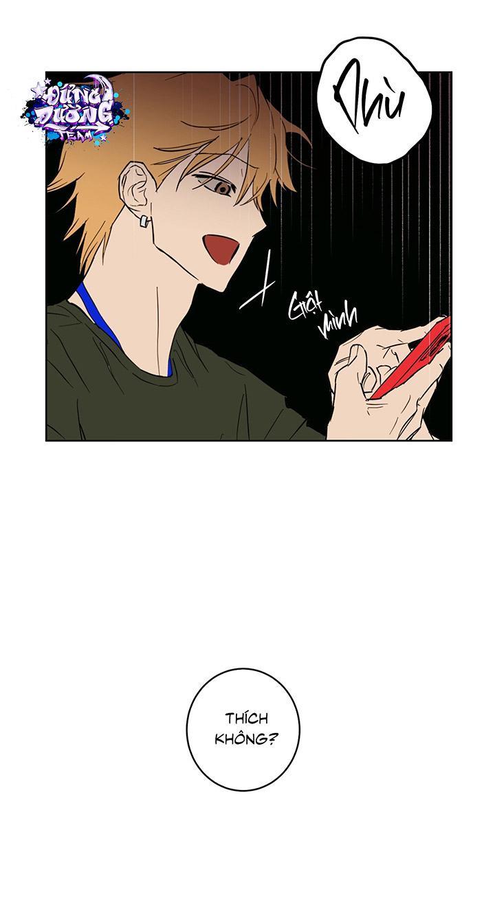 [DDT] Phiên Bản Hoàn Hảo Chapter 1 19+ - Trang 2