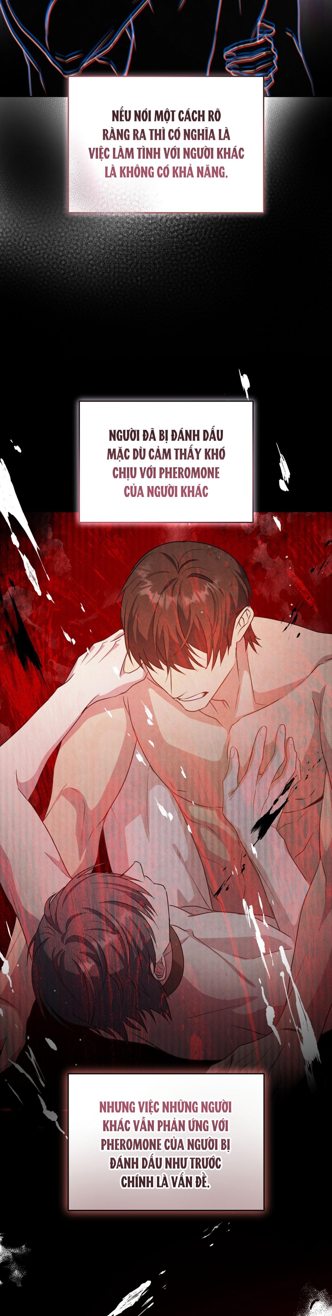 THẾ GIỚI XUNG KHẮC Chapter 8 - Trang 2