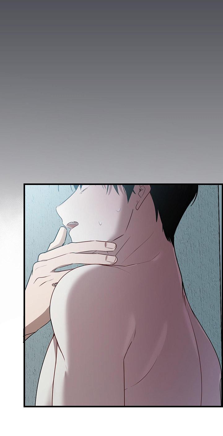 [DDT] HÃY SINH NHẤT MIÊU HÀI WILDCAT, NHƯ BẤT DỤC KIẾN NGÃ PHÁT CUỒNG! Chapter 1 19+ - Trang 2