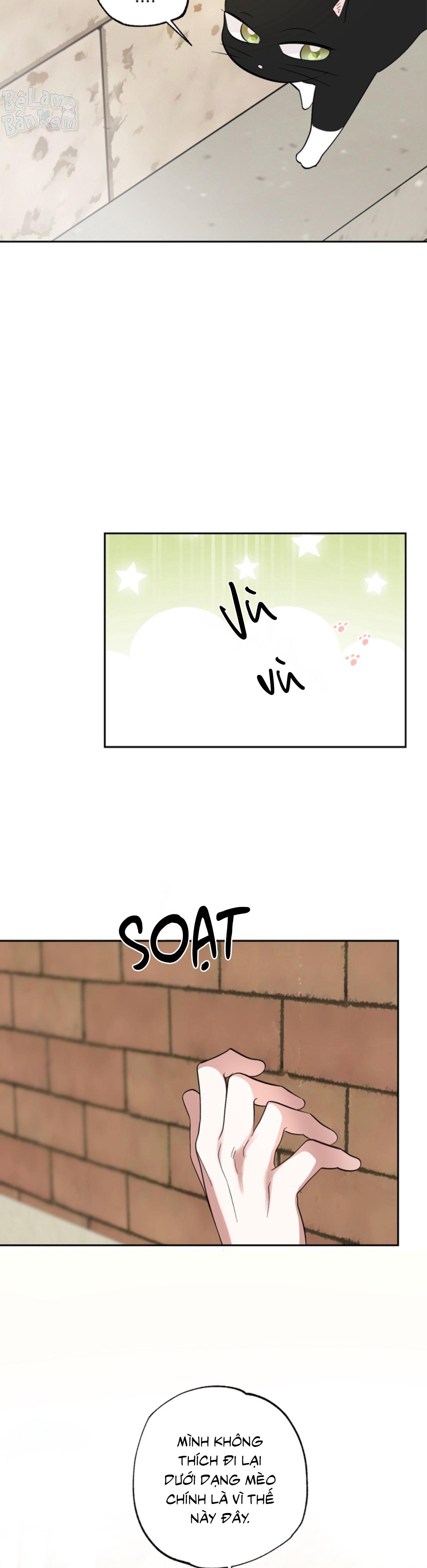 XIN HÃY YÊU THƯƠNG DÙ TÔI LÀ CHUỘT Chapter 5 - Trang 2