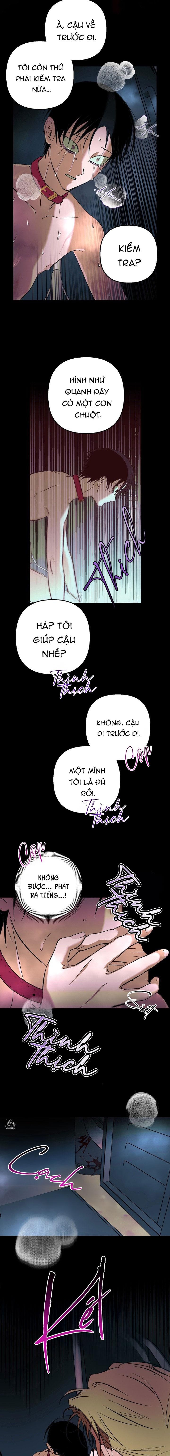 THÚ CƯNG DAMDANG Chapter 9.3 bản báo cáo 3 - Trang 2