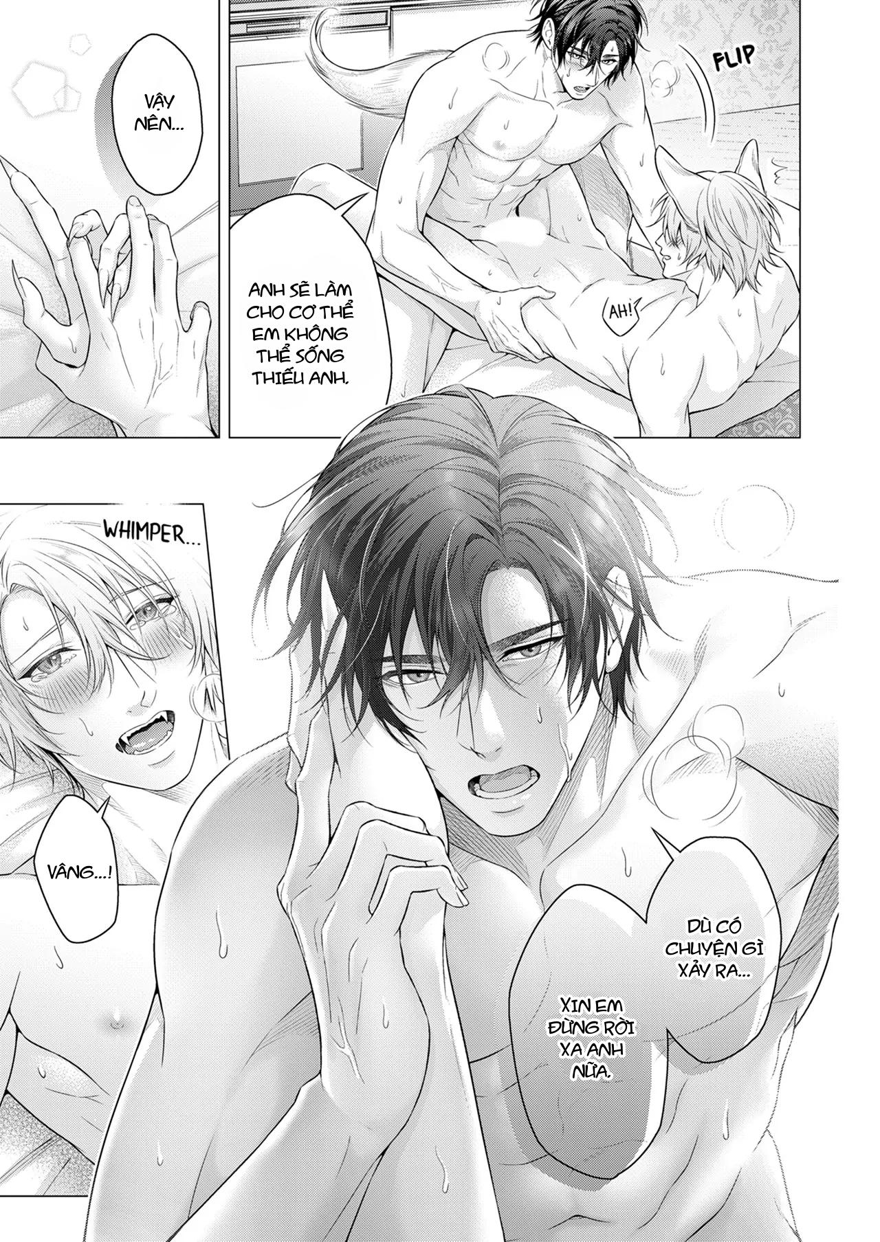 Ái tình hoang dại của một con thú đội lốt quý ông Chapter 18 - Trang 2