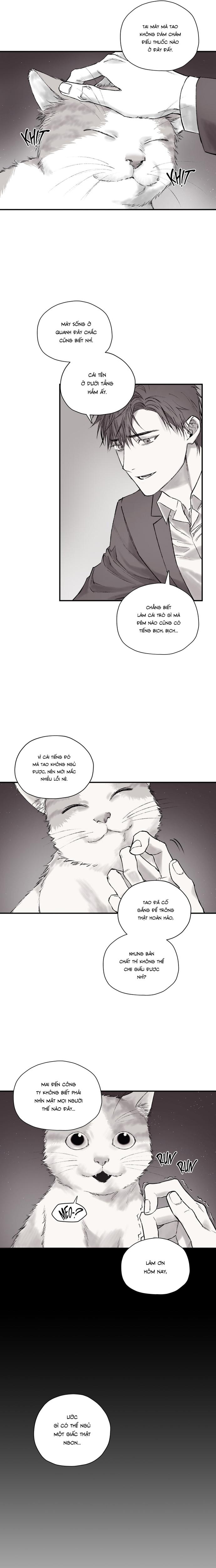 Gã Đàn Ông Dưới Căn Hầm Đang Bị Giam Cầm Trong Phòng Tôi Chapter 1 - Trang 2