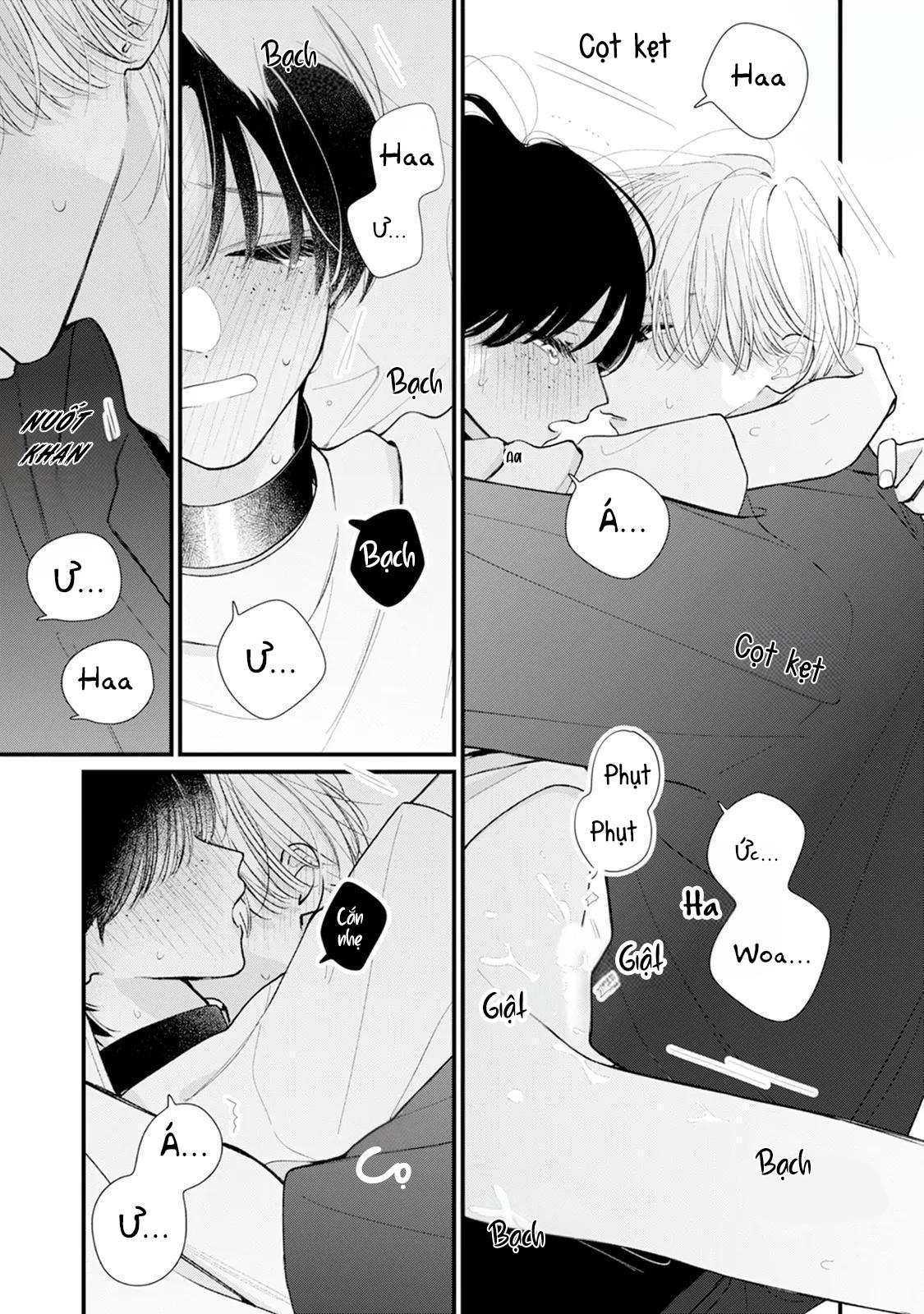 Bó Hoa Dành Dành Và Sắc Xanh Mong Manh Chapter 2 H+ - Trang 2