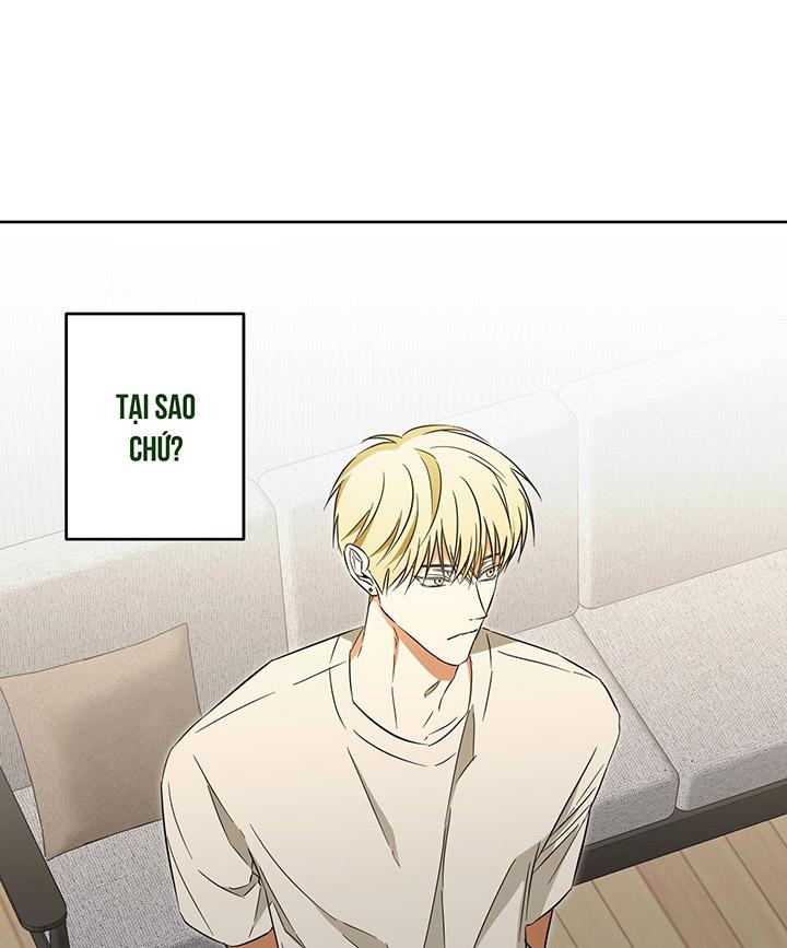 CHIẾN LƯỢC ĐOẠT TÂM CỦA CUỘC TÌNH ĐƠN PHƯƠNG Chapter 12 - Trang 2