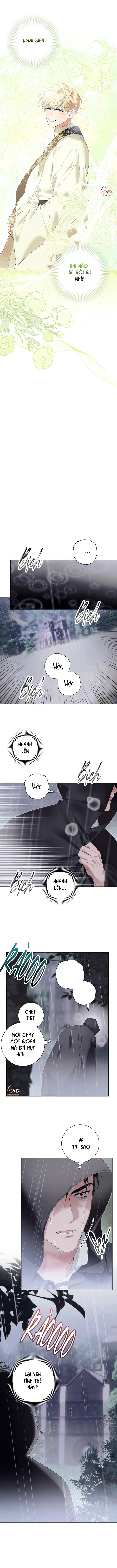 (3P) PÁTERA Chapter 17 - Trang 2