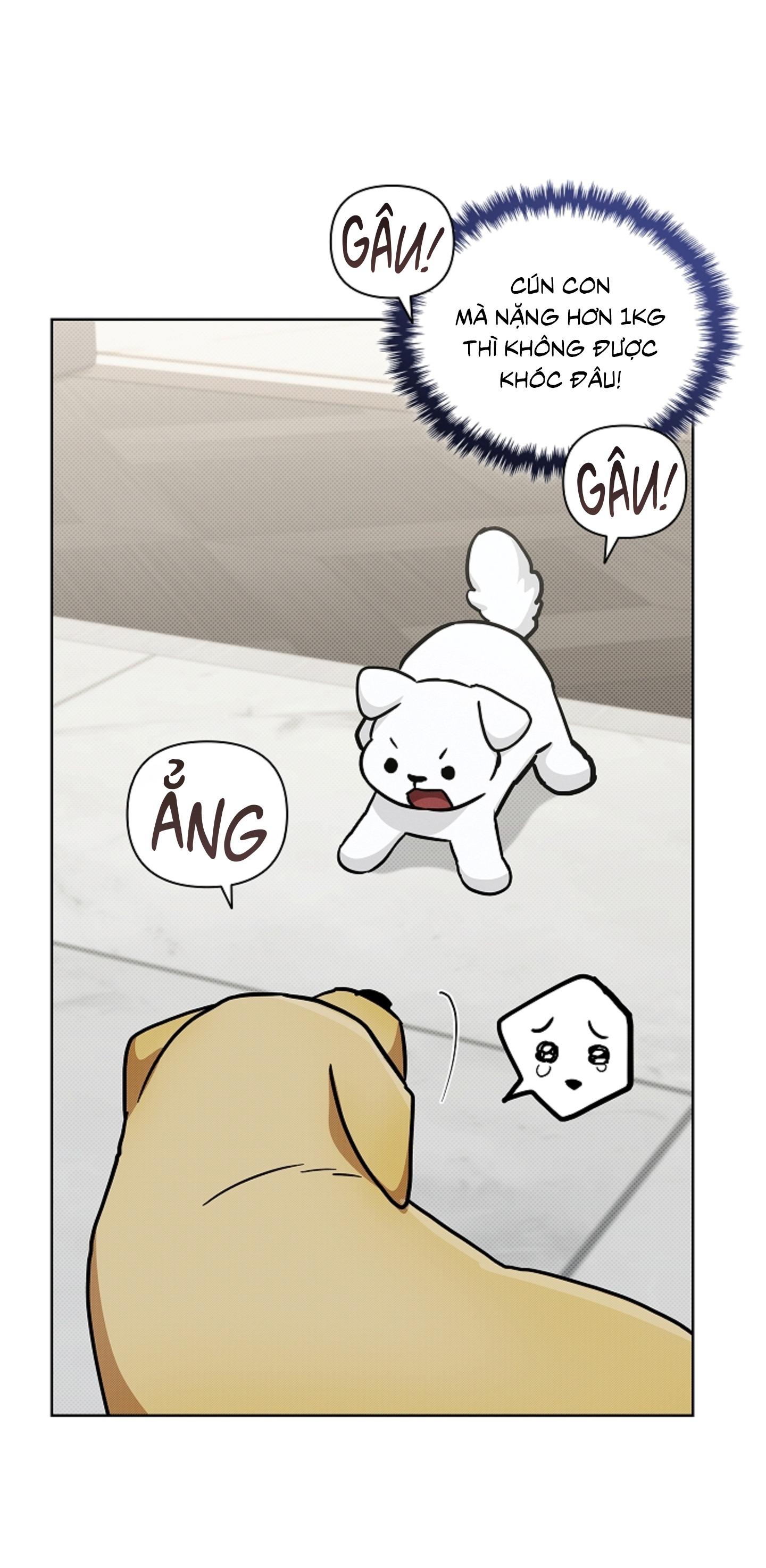 ĐỪNG ĐỘNG VÀO CÚN CON! Chapter 44.03 H - Trang 2