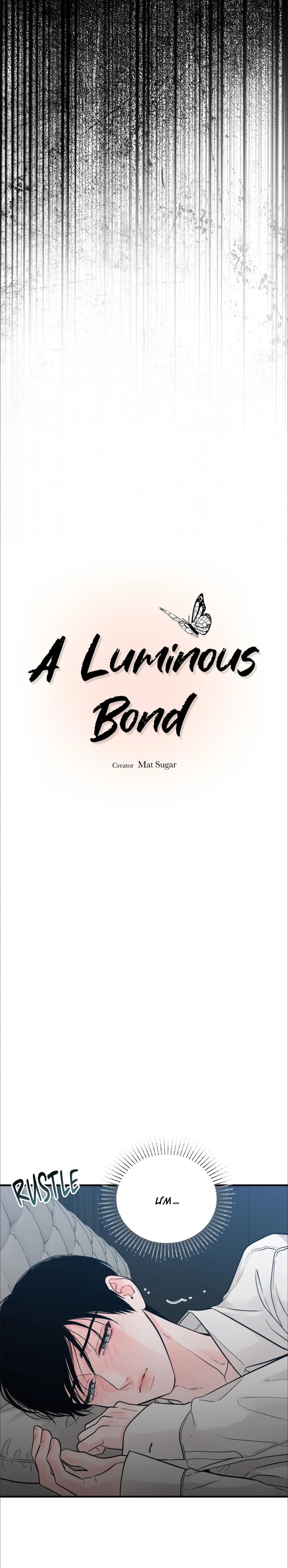 Mối Liên Kết Đáng Ngờ Chapter 2 - Trang 2