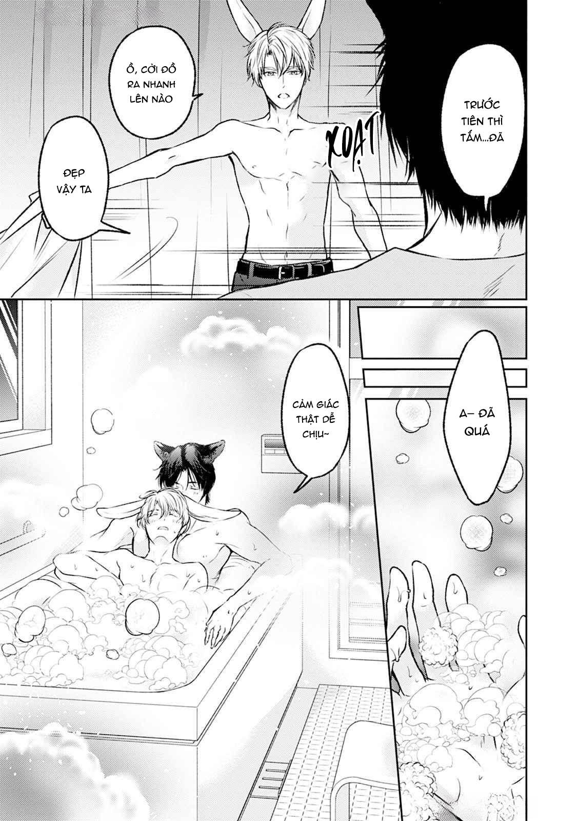 Đã Đến Lúc Cưng Chiều Rồi! Chapter 2 - Next Chapter 3