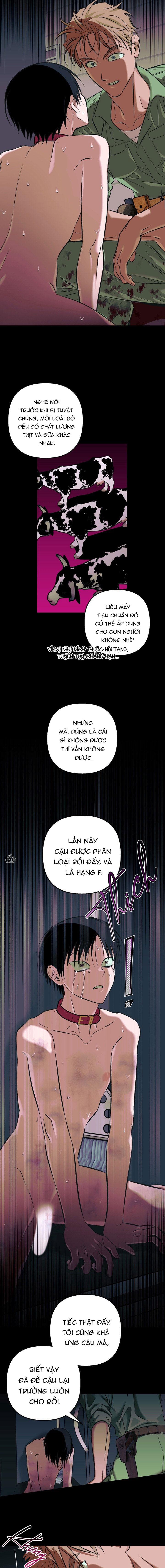 THÚ CƯNG DAMDANG Chapter 9.4 bản báo cáo end - Trang 2
