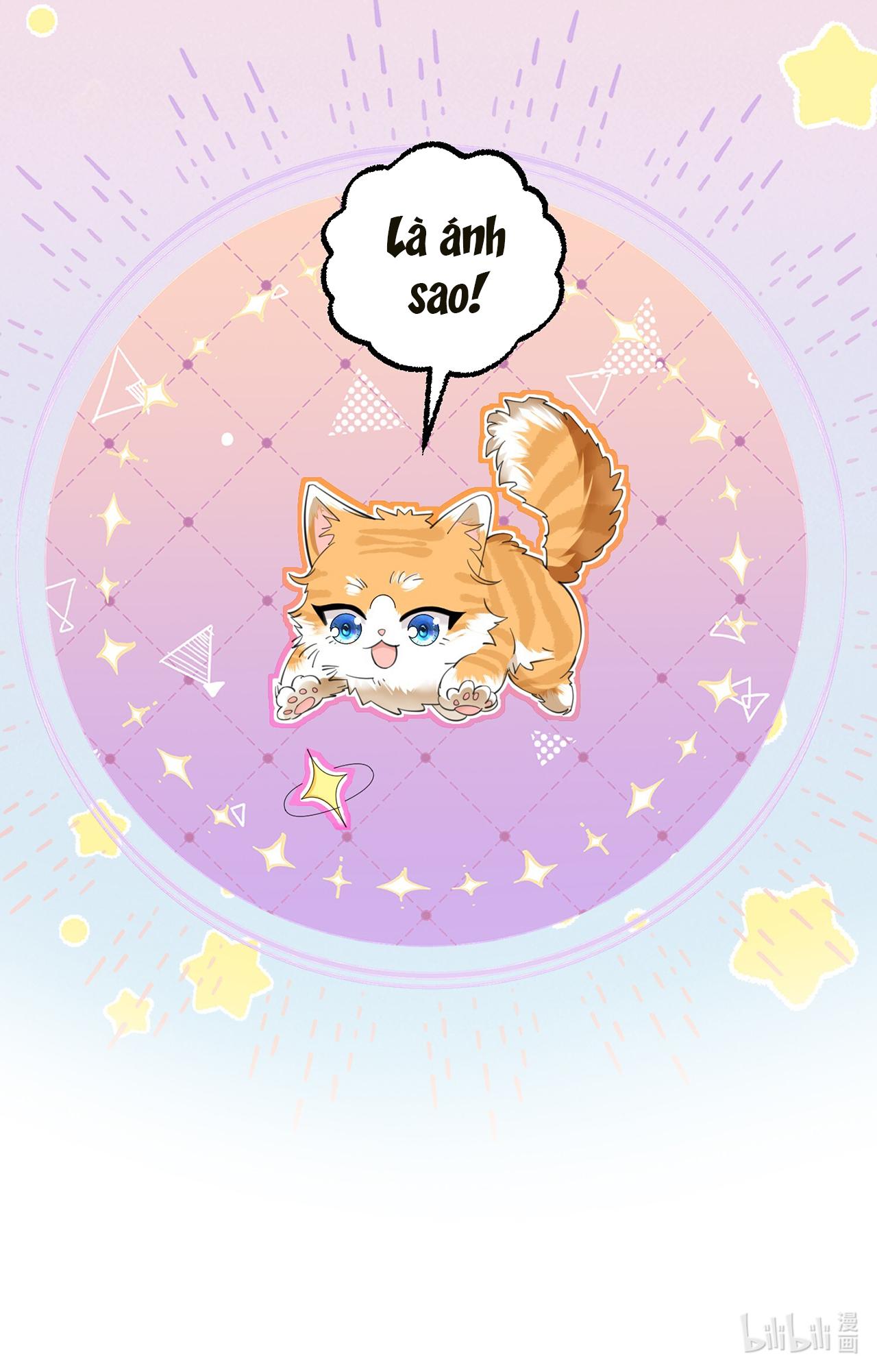 Dáng Vẻ Anh Thích Em Đều Có (END) Chapter 2 - Trang 2