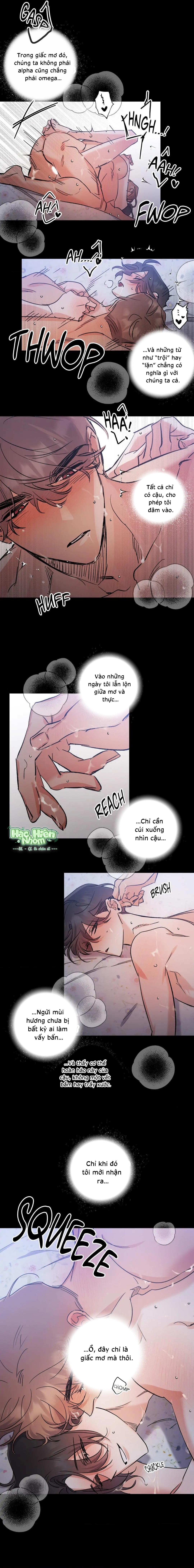 Vũ Trụ Nơi Thiên Thạch Rơi Chapter 8 Hachiennhom - Trang 2