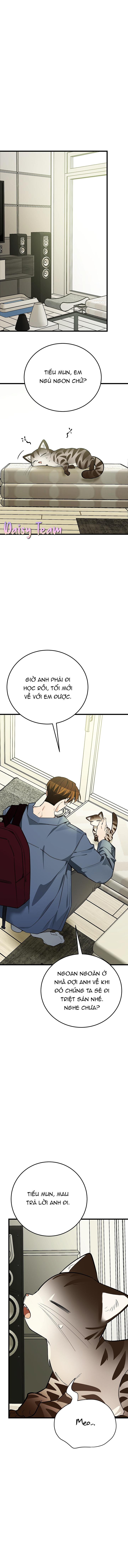 (Daisy) Sinh mèo con cho tôi mau trước khi thằng này điên lên Chapter 9 - Trang 2