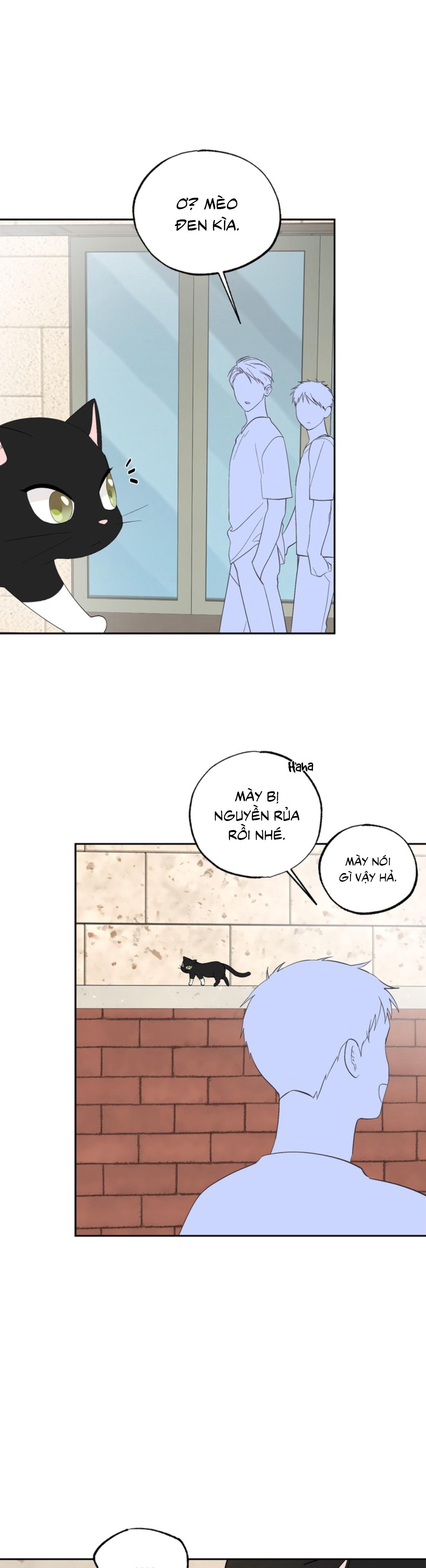 XIN HÃY YÊU THƯƠNG DÙ TÔI LÀ CHUỘT Chapter 5 - Trang 2