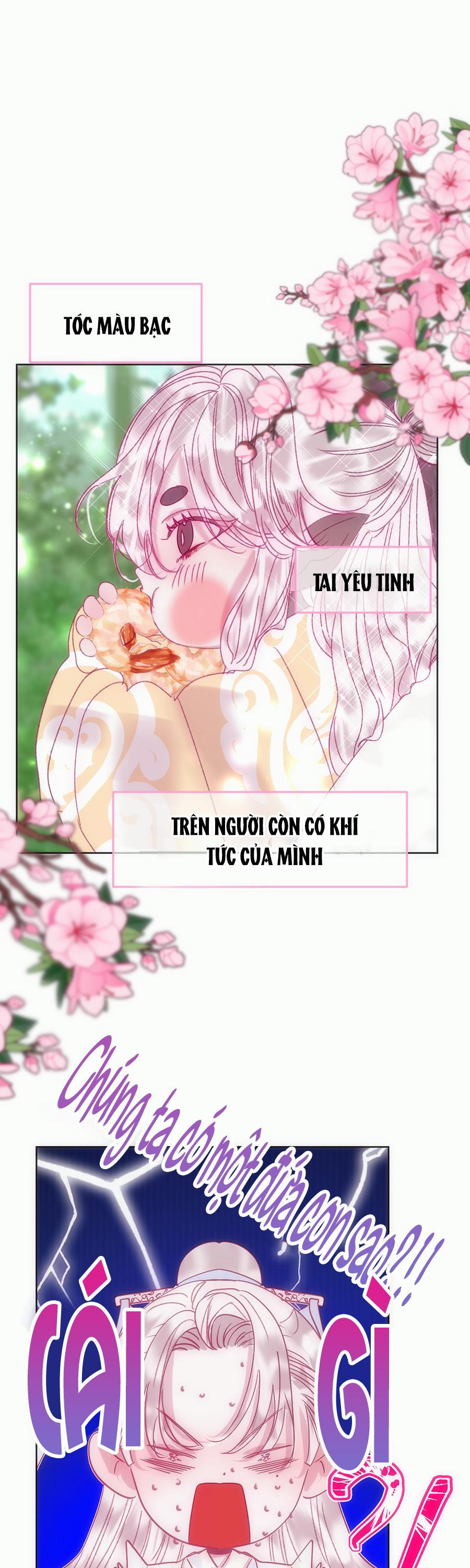 Vài Câu Chuyện Với Sư Tôn Sau Khi Xuyên Sách Chapter 75.1 - Trang 2