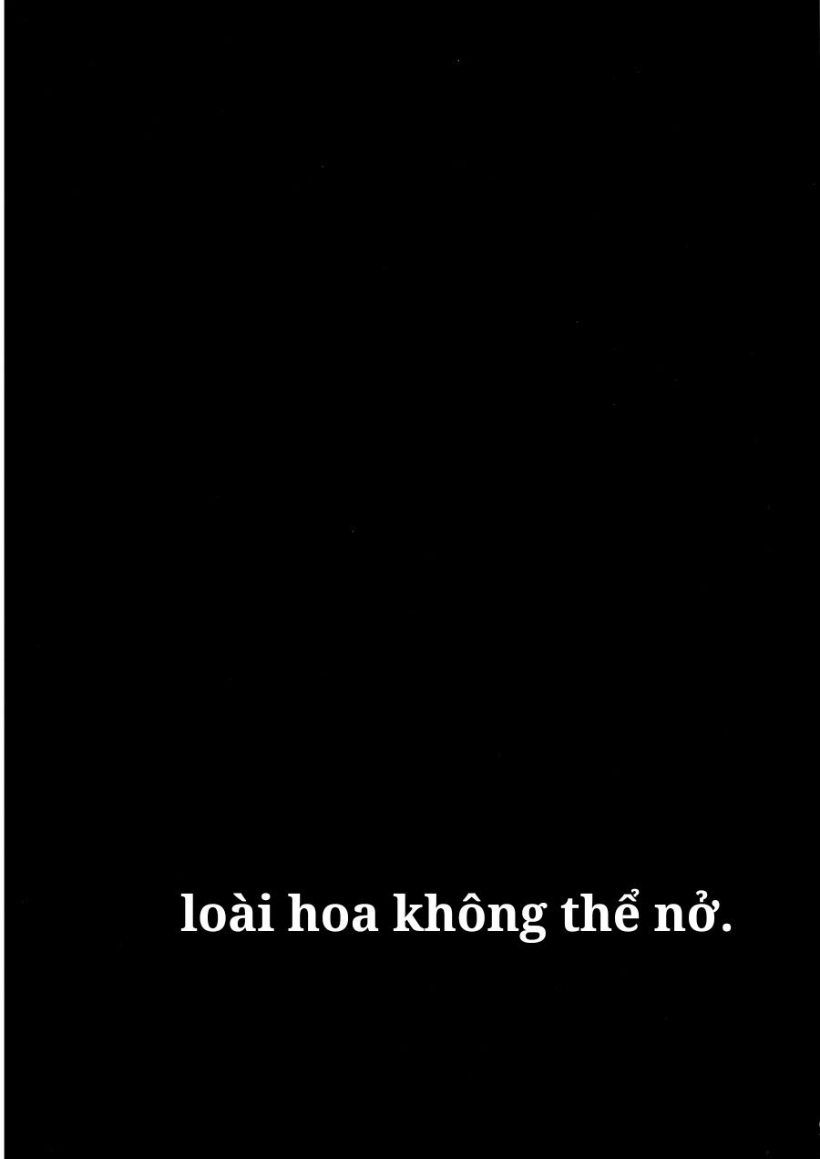 Tuyển Tập Attack On Titan Chapter 27 - Trang 2