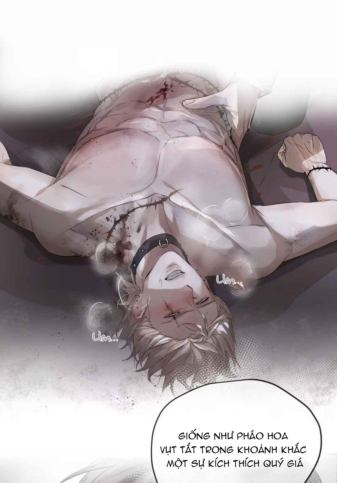 Tôi Bị Chó Điên Phát Hiện Bản Thân Là Đồng Loại Chapter 4 - Trang 2