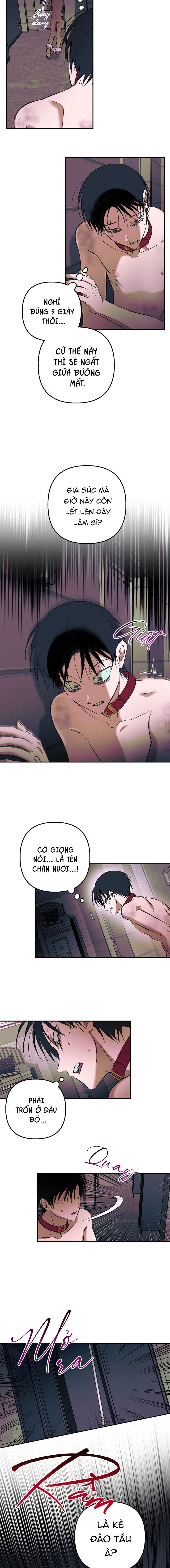 THÚ CƯNG DAMDANG Chapter 9.3 bản báo cáo 3 - Trang 2