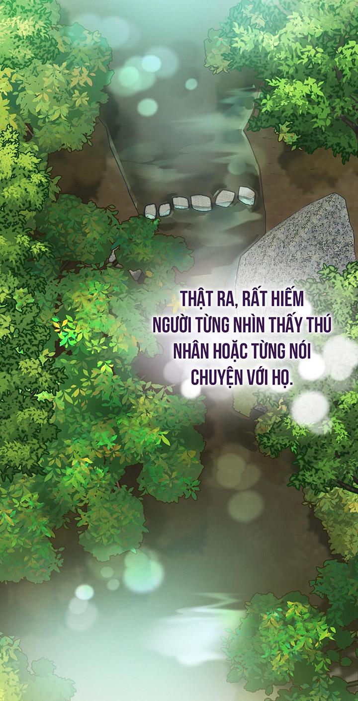 [DDT] HÃY SINH NHẤT MIÊU HÀI WILDCAT, NHƯ BẤT DỤC KIẾN NGÃ PHÁT CUỒNG! Chapter 1 19+ - Trang 2