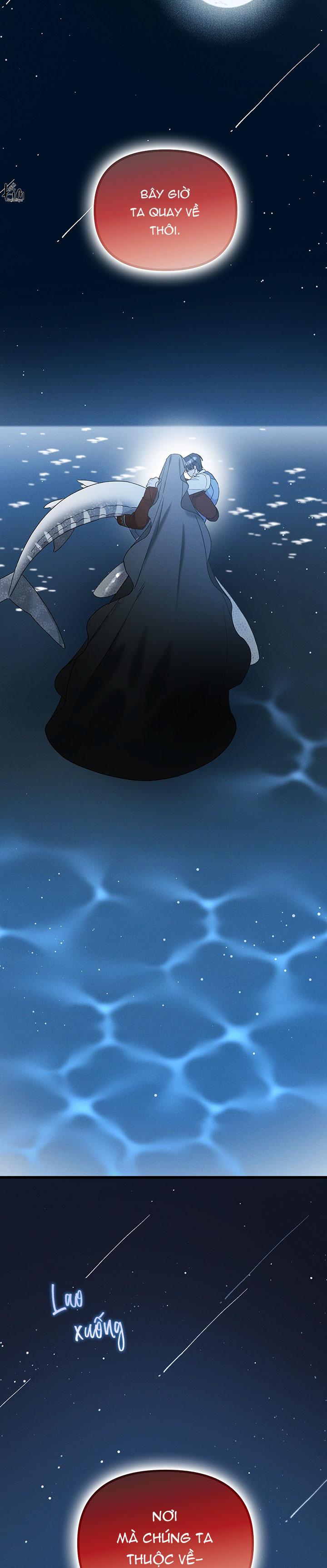 Mermaid's Cradle Chapter 11 - Next Chapter 12