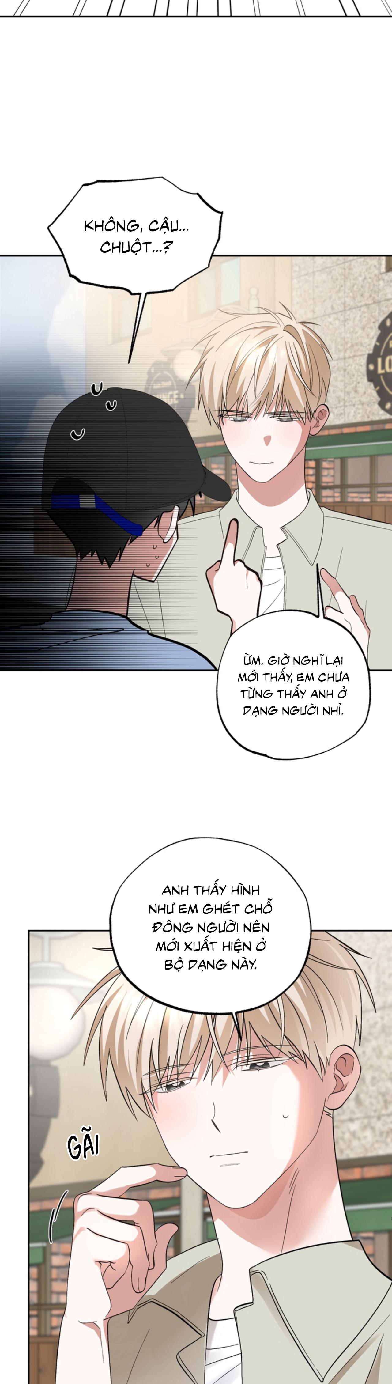 XIN HÃY YÊU THƯƠNG DÙ TÔI LÀ CHUỘT Chapter 5 - Trang 2