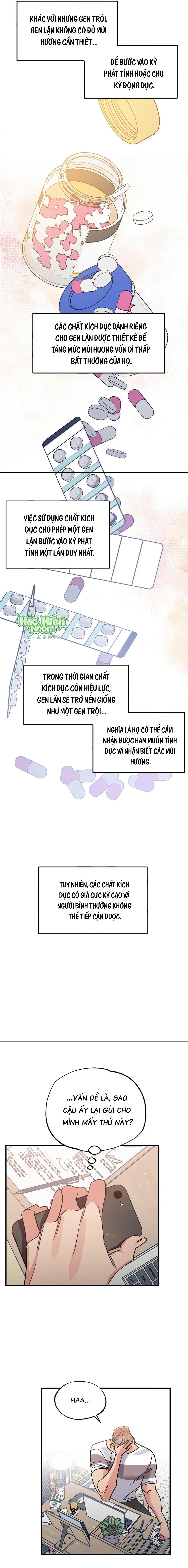 Vũ Trụ Nơi Thiên Thạch Rơi Chapter 7 Hachiennhom - Trang 2