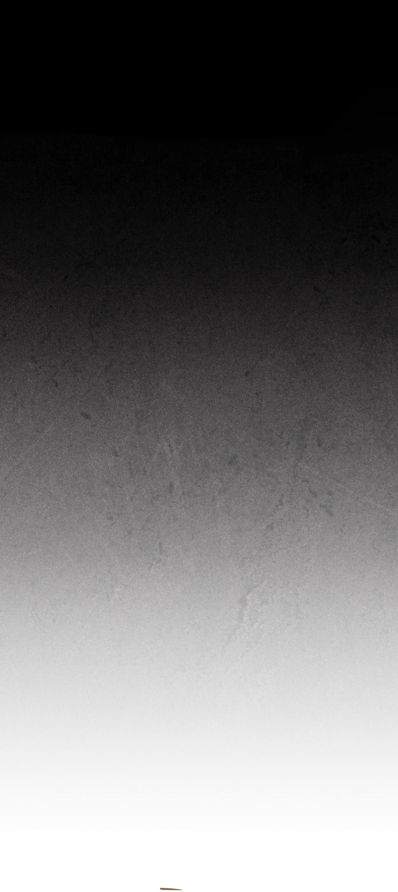 HÌNH THÁI TIẾN HÓA Chapter 8 - Trang 2