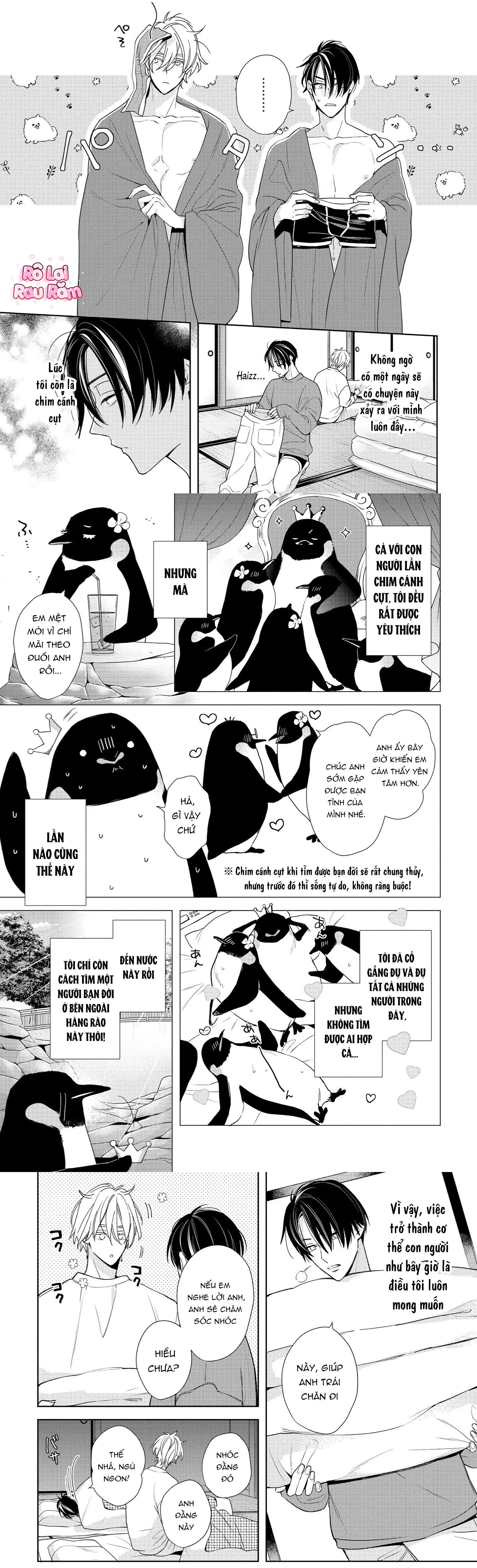 Ái tình từ vì sao sa Chapter 1 - Trang 2