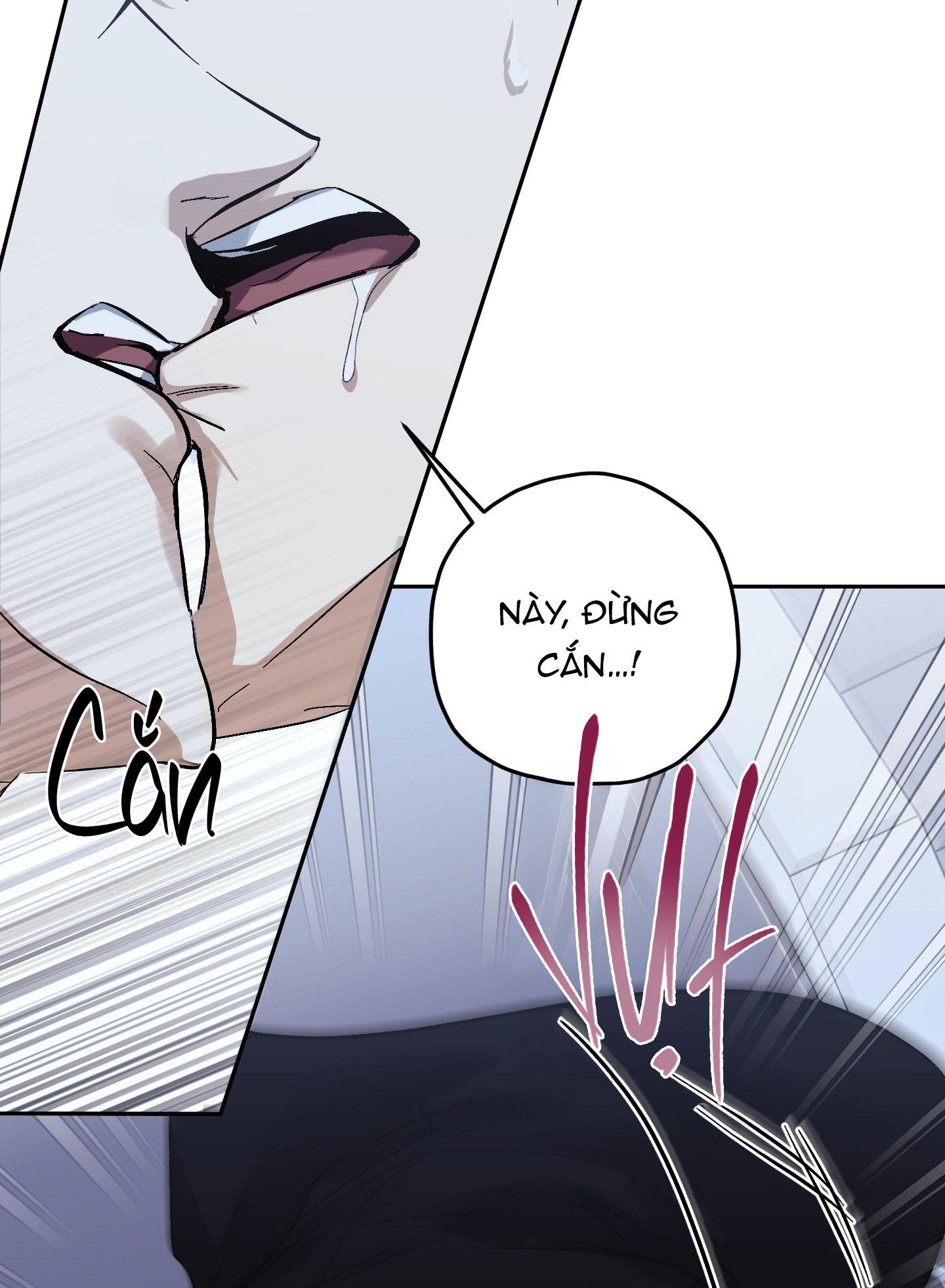TƯƠNG XỨNG Chapter 11 - Next Chapter 12