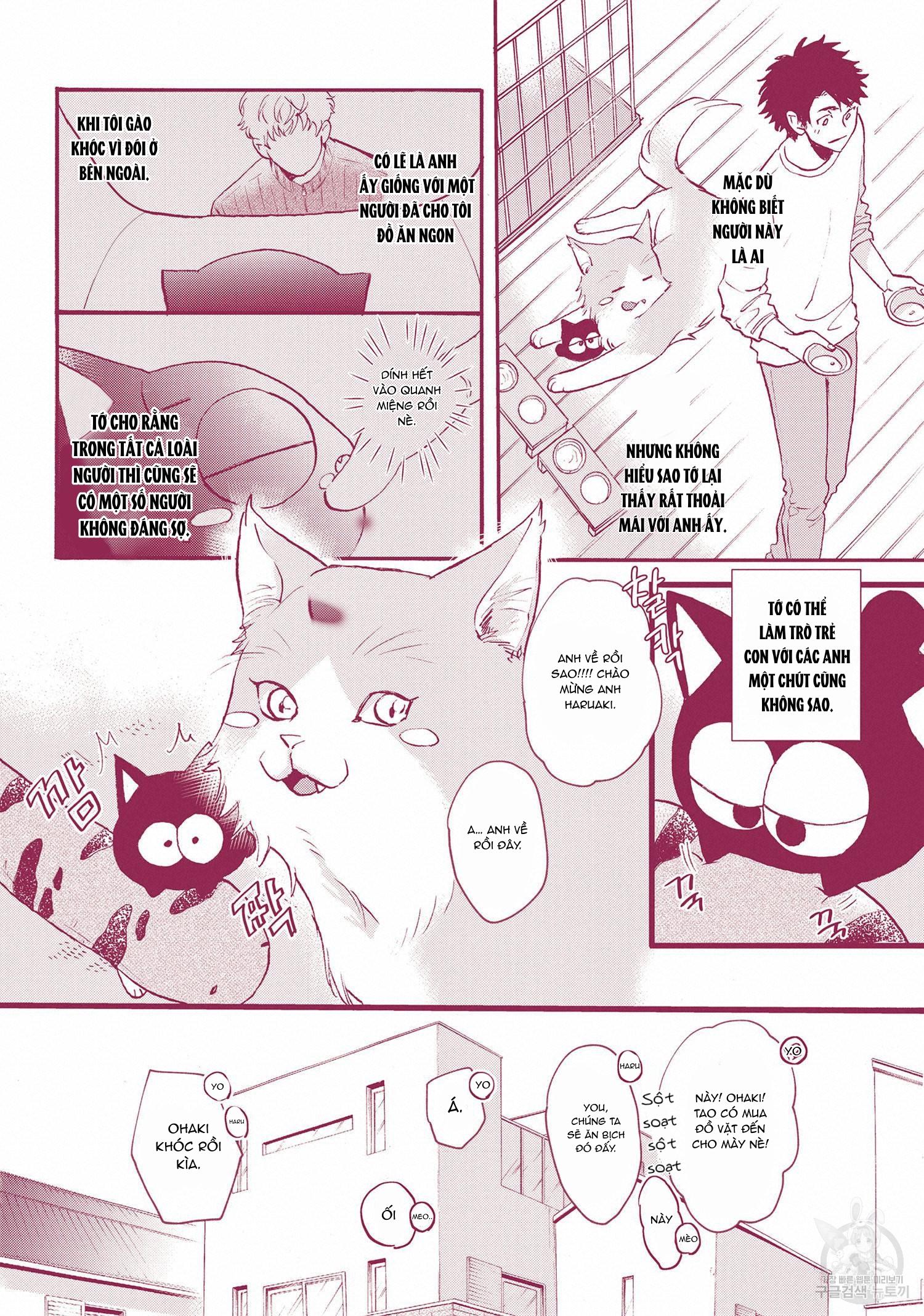 Series BL Manga Chapter 22.9 - Next Chapter 23.1