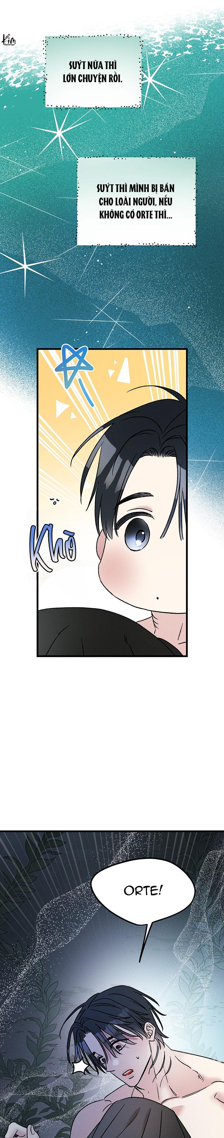 Mermaid's Cradle Chapter 11 - Next Chapter 12