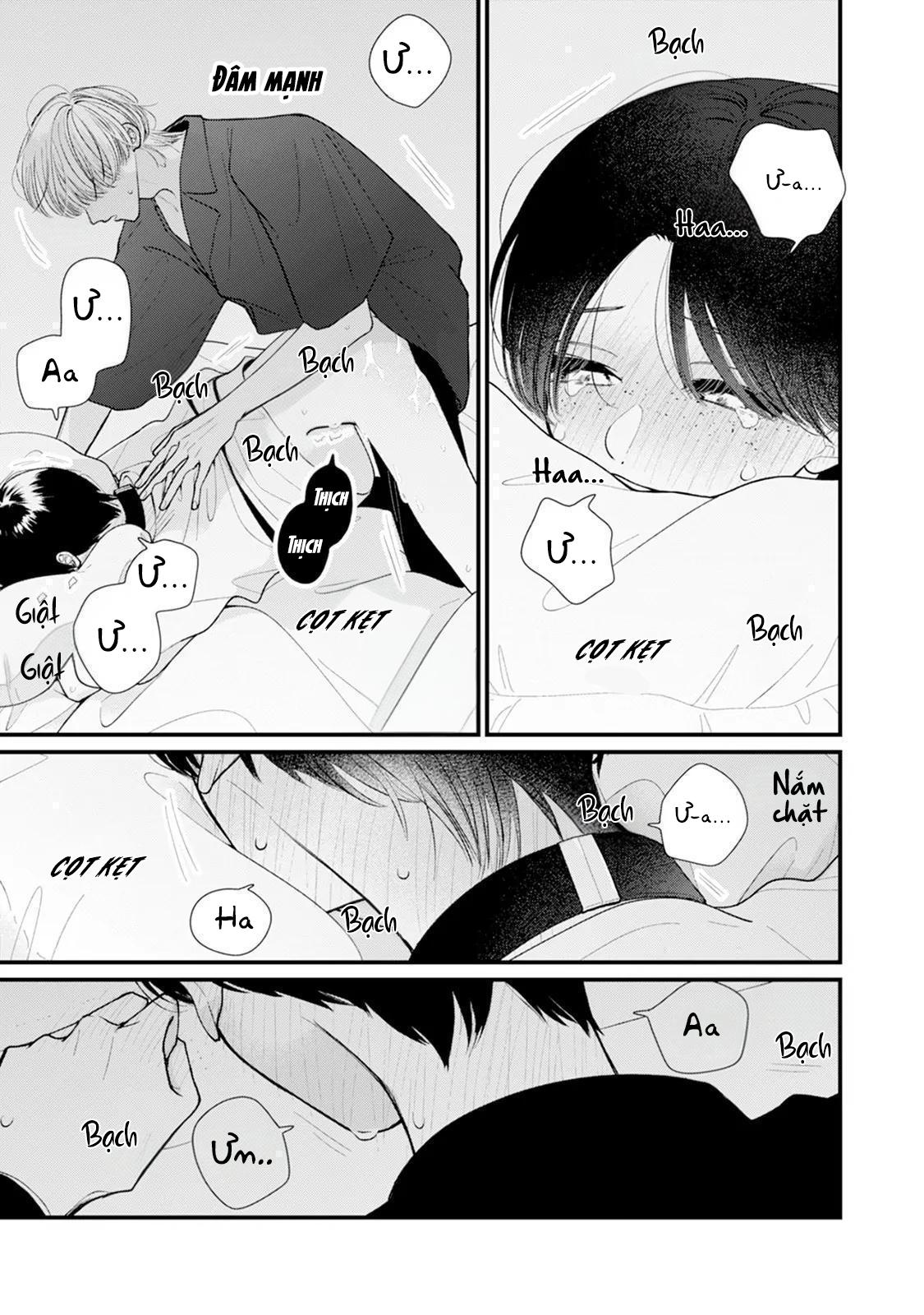 Bó Hoa Dành Dành Và Sắc Xanh Mong Manh Chapter 2 H+ - Trang 2