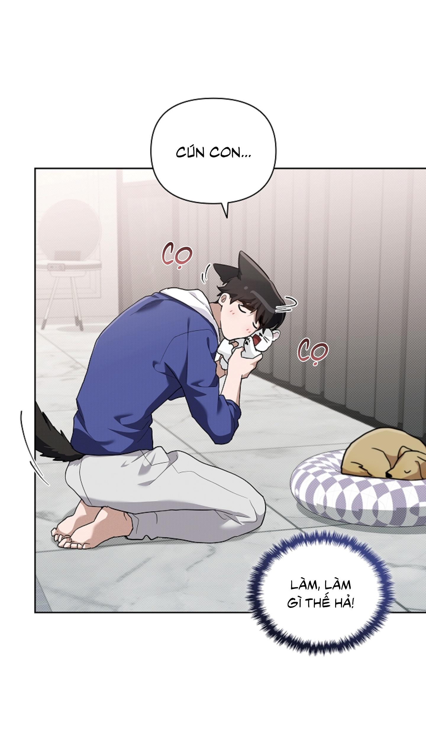 ĐỪNG ĐỘNG VÀO CÚN CON! Chapter 44.03 H - Trang 2