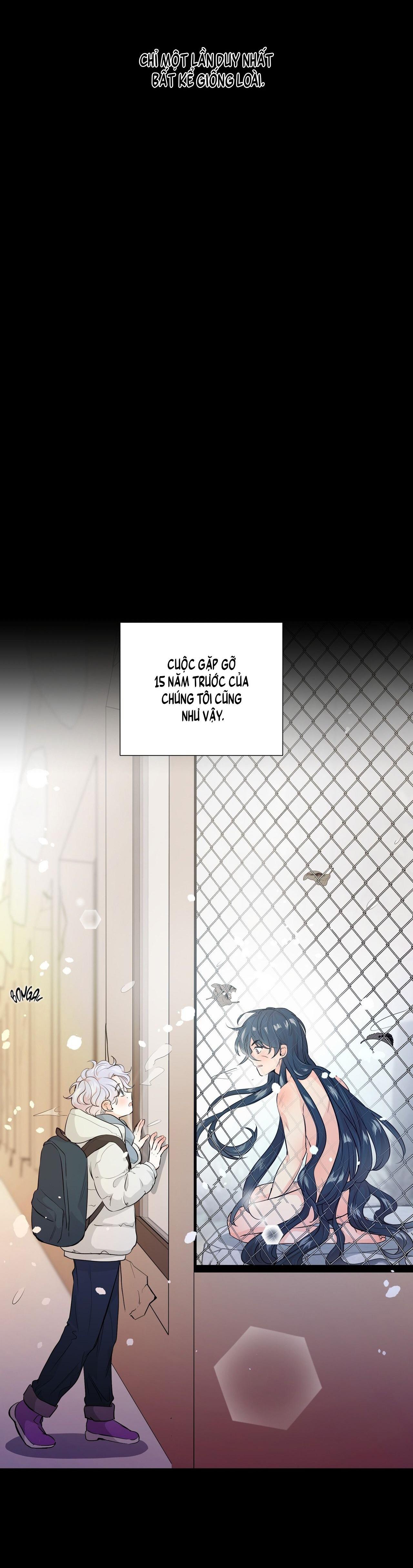 BÁNH GẠO SINH NHẬT CỦA HỔ Chapter 1 - Trang 2