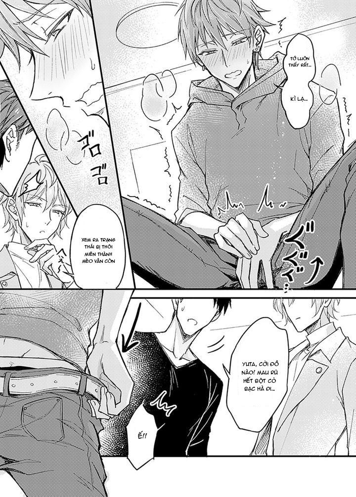 ONESHOT CHỊCH Chapter 239.1 3P - Trang 2