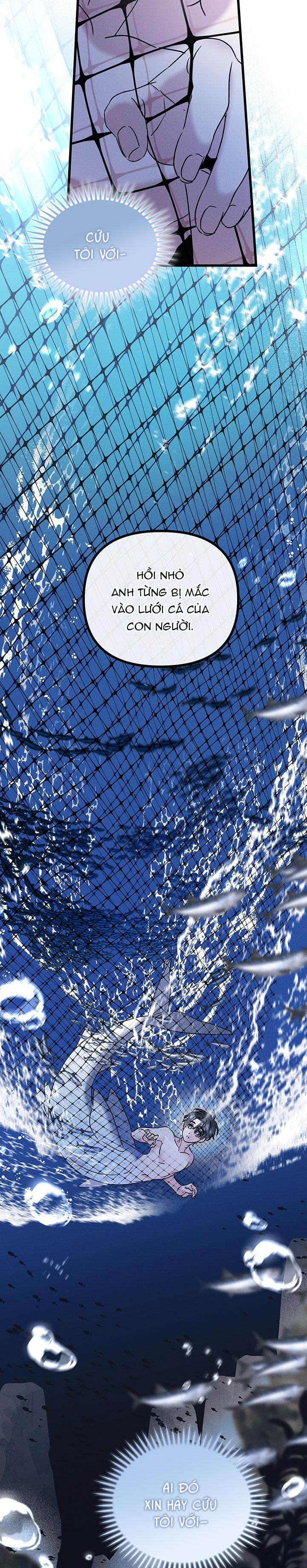 Mermaid's Cradle Chapter 6 - Trang 2