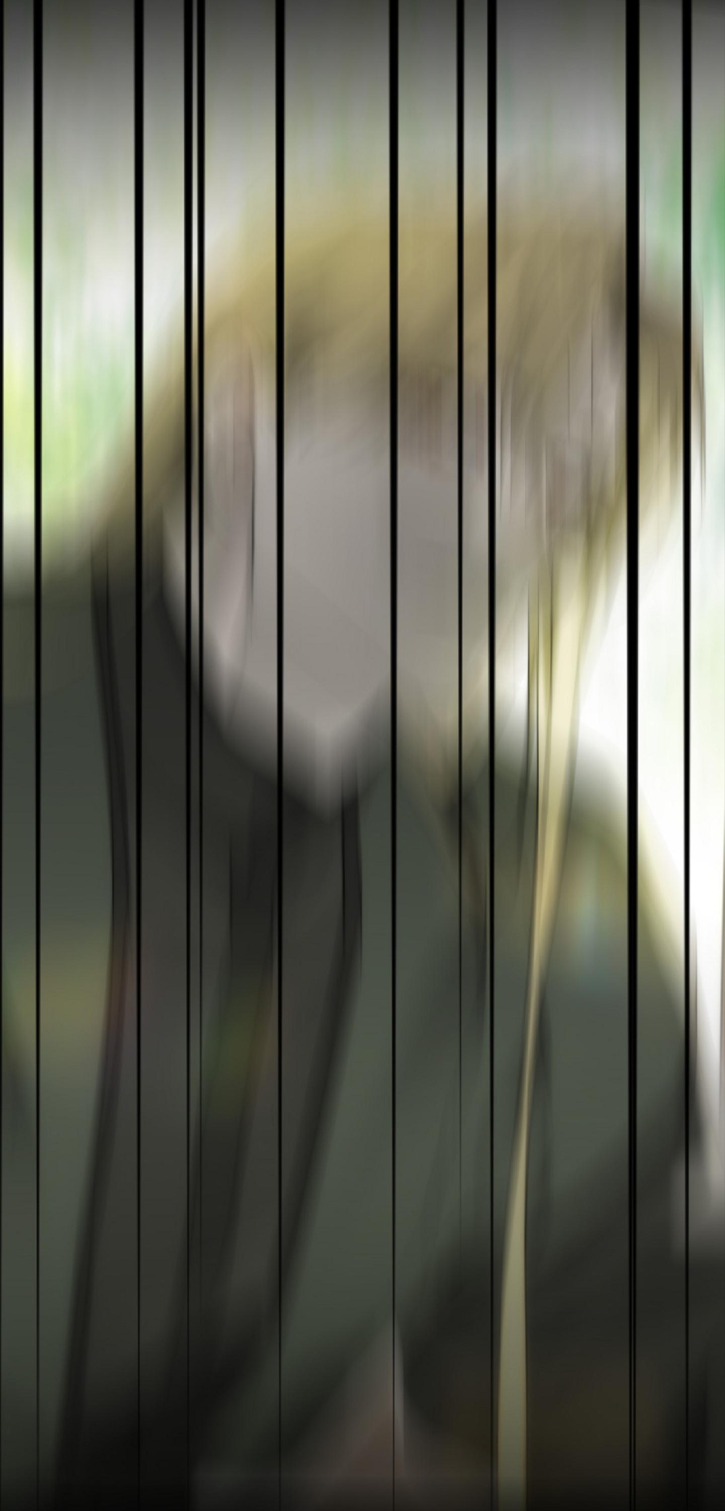 KHI VẬN MỆNH ĐƯA LỐI Chapter 5 - Trang 2