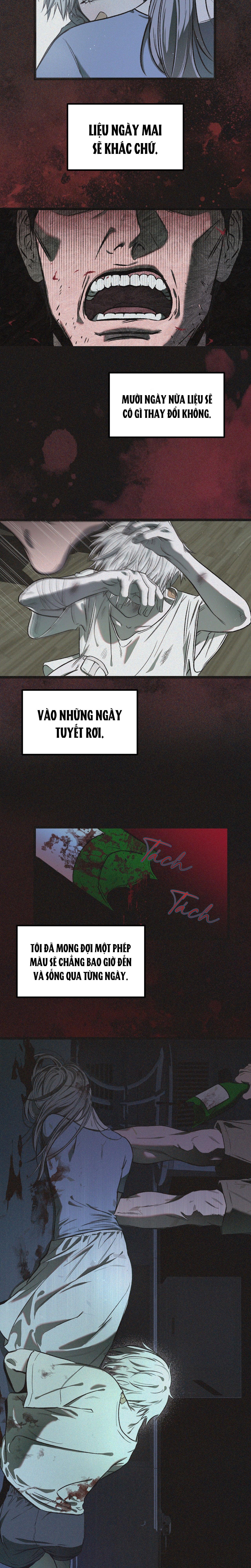 (ABO) VẬT TẾ THẦN Chapter 3 - Trang 2