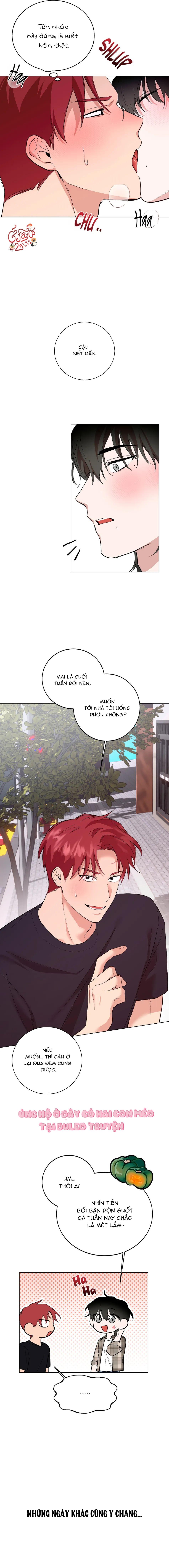 Che Giấu Tung Tích Chapter 2 - Trang 2