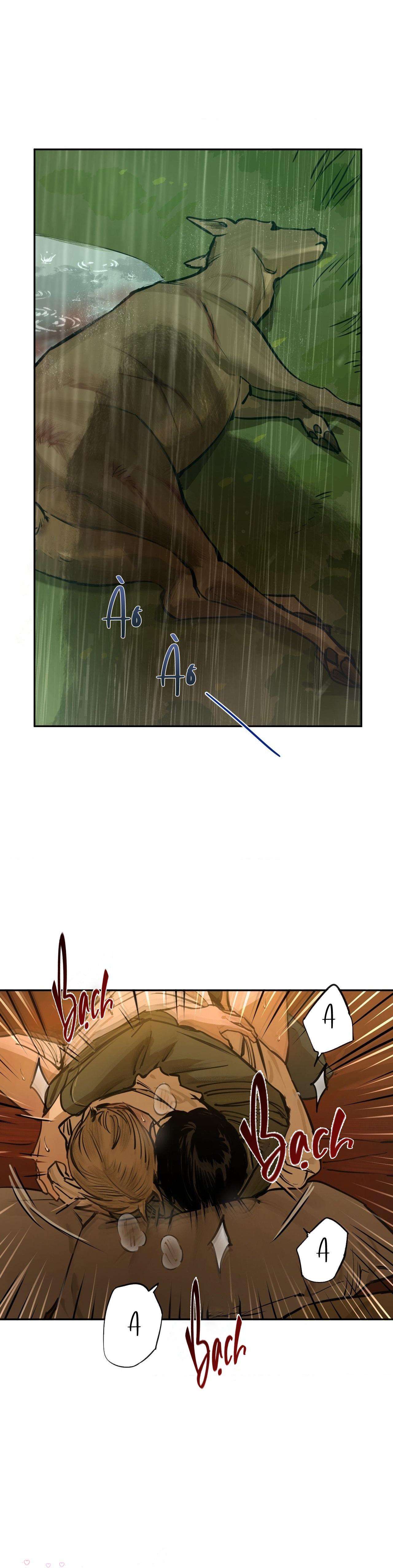 THE FALLEN LAMB Chapter 5 H+ lổ rái - Trang 2