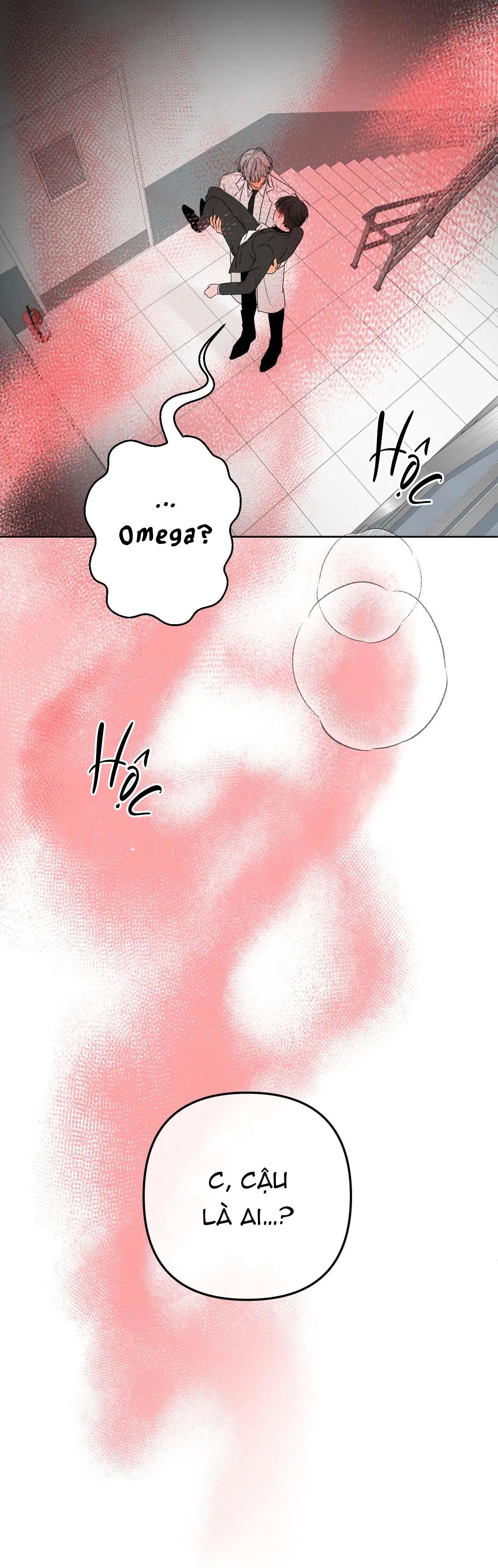 Ranh Giới Mùi Hương Chapter 13 - Trang 2