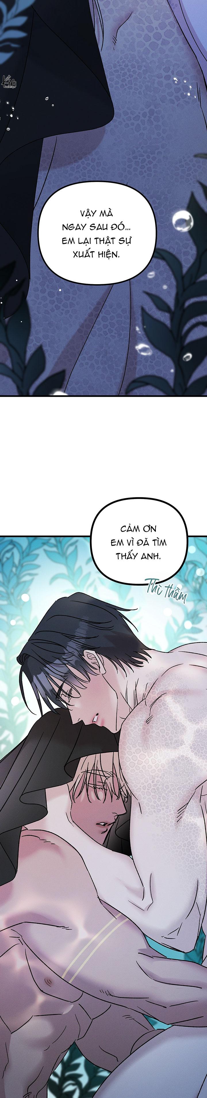 Mermaid's Cradle Chapter 11 - Next Chapter 12