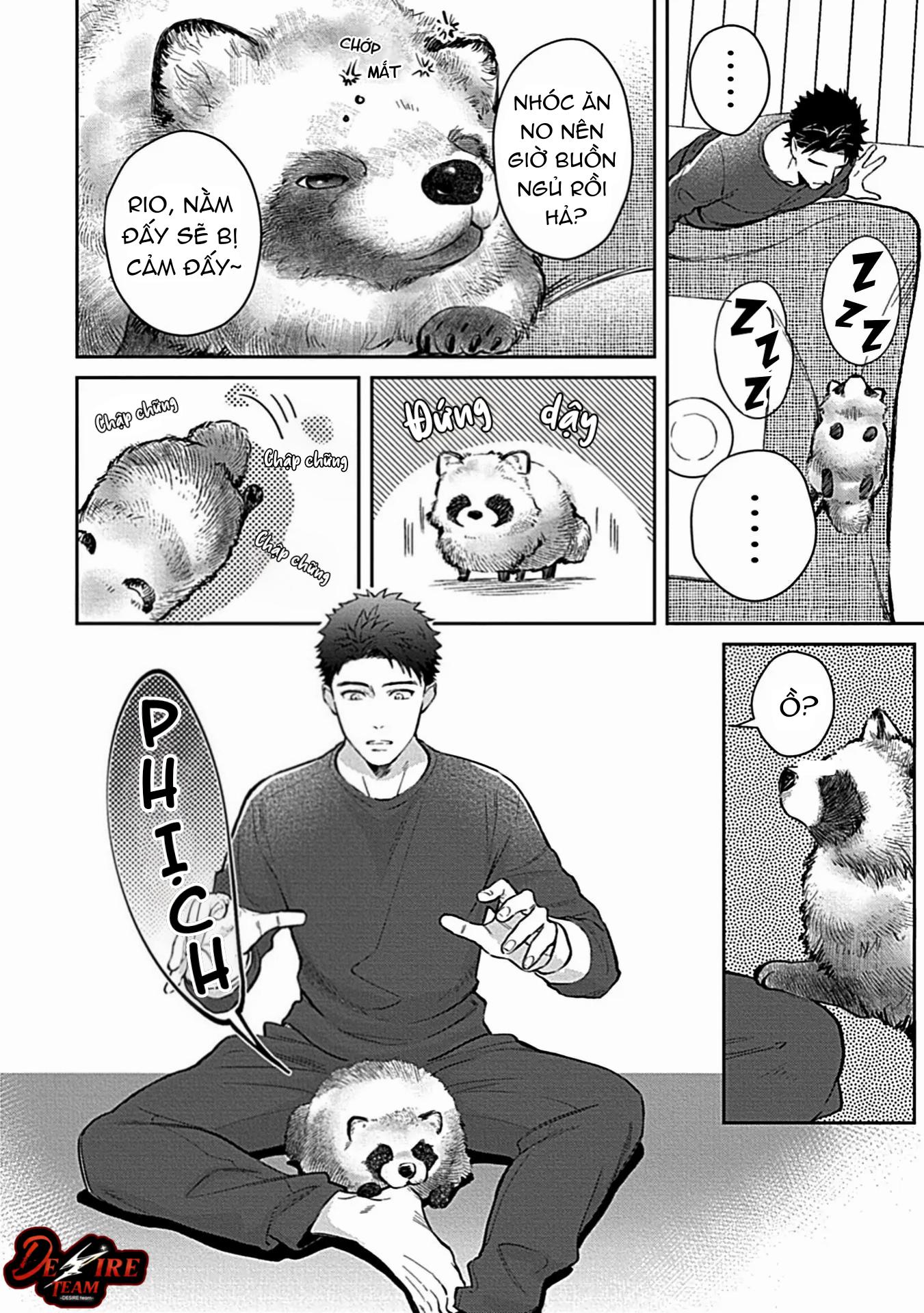Trở Thành Một Gia Đình Cùng Hai Anh Em Tanuki Chapter 2 - Trang 2