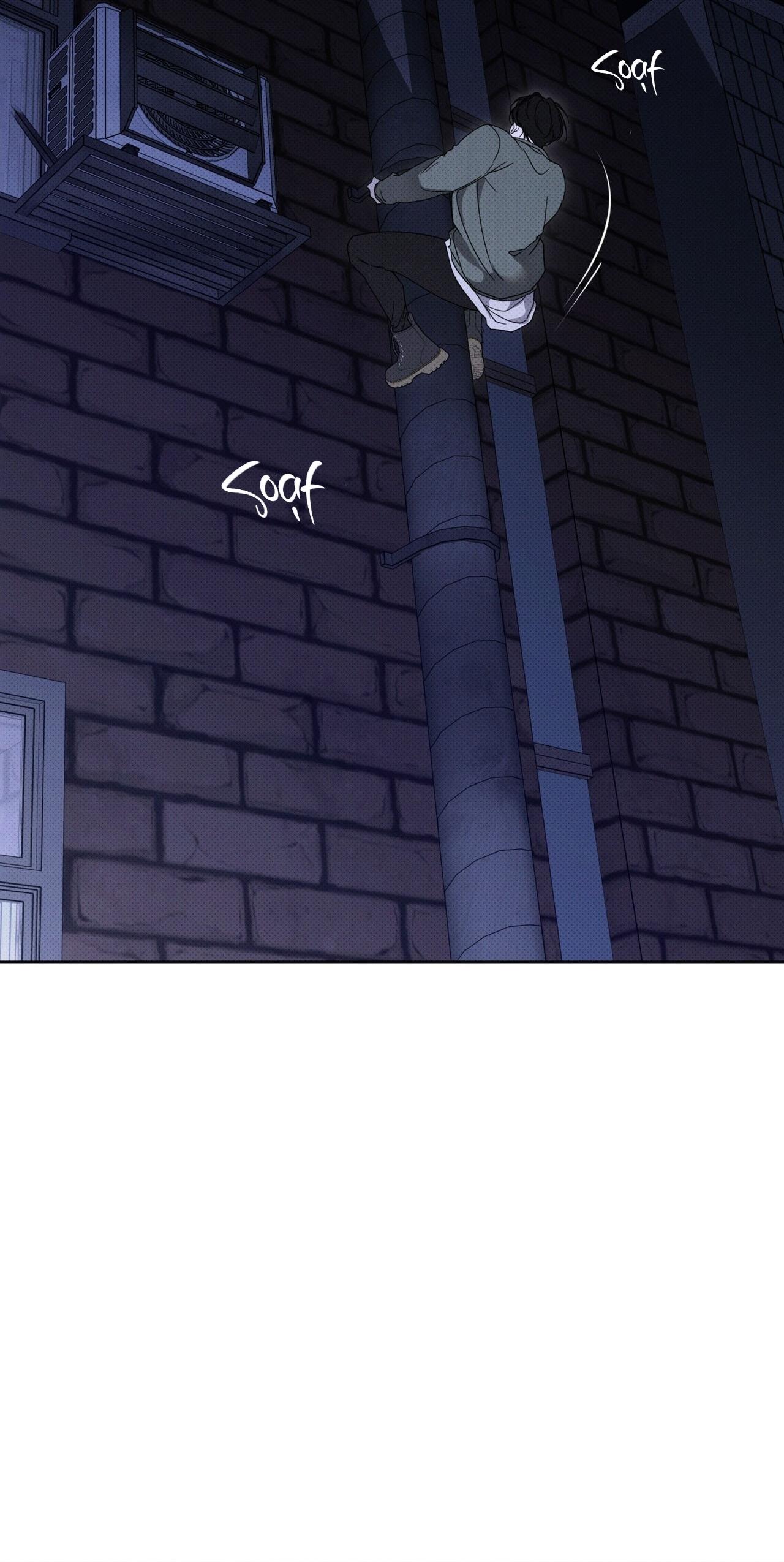 HÌNH THÁI TIẾN HÓA Chapter 4 - Trang 2